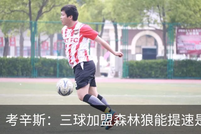考辛斯：三球加盟森林狼能提速是加分项 他和爱德华兹非常契合